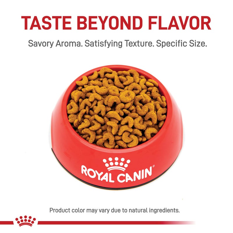 Royal Canin Feline Breed Nutrition American Shorthair Adult Dry Cat Food, 5.5 lb Bag - Image 2